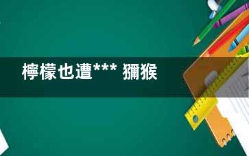 檸檬也遭*** 獼猴桃維生素也很高